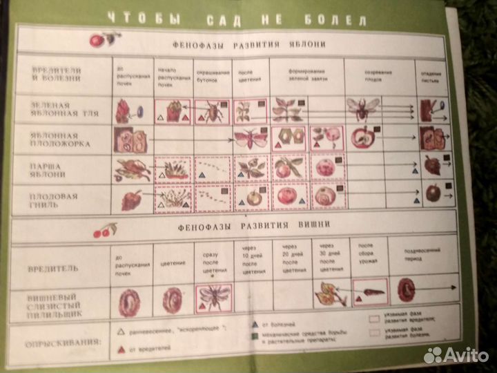 Справочник огородника