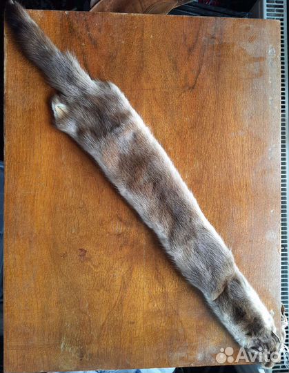 Шкурка норки