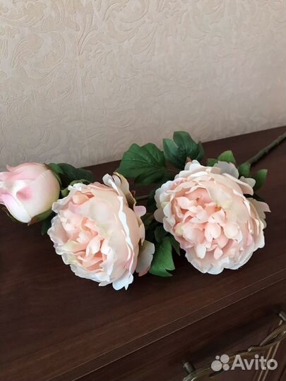 Пионы искусственные