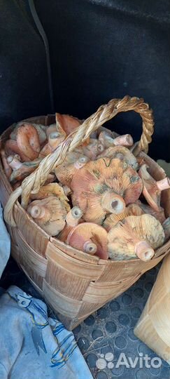 Грибы рыжики свежие