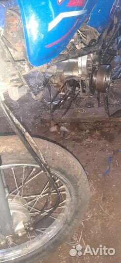 Двигатель 125 кубов альфа