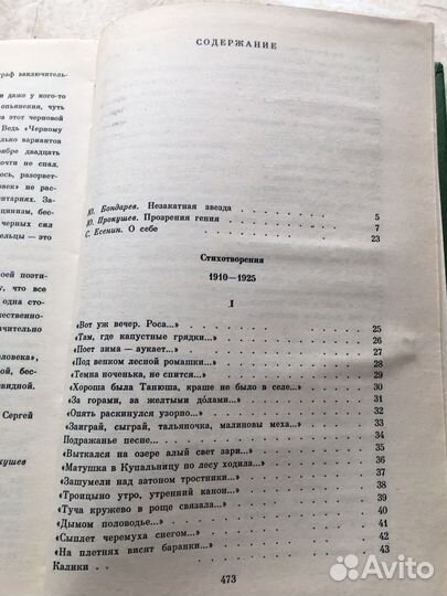 Книга С.Есенин (том 1)