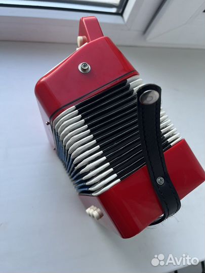 Детский Аккордион /гармошка cb sky