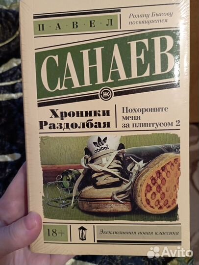 Хроники раздолбая Павел Санаев