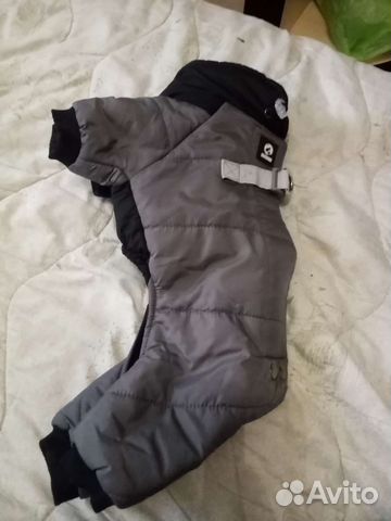 Костюм для маленьких собачек