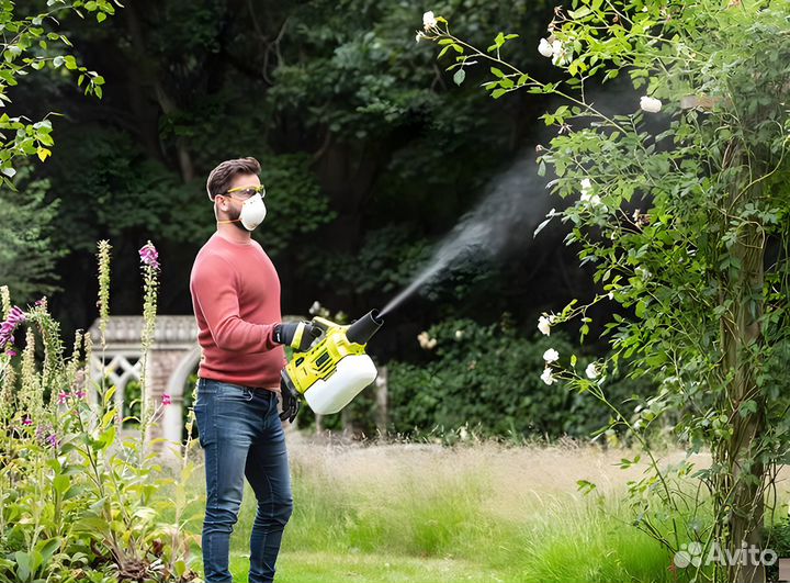 Дезинфекция/ Уничтожение тараканов, клопов, плесен