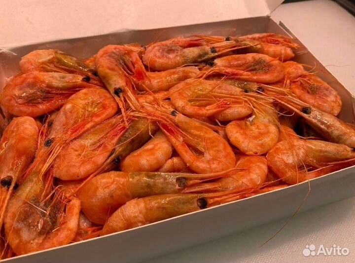 Креветка северная. Оптовые цены