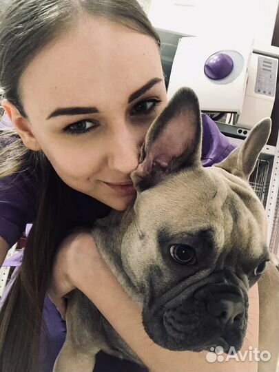 Ветеринарный фельдшер на дом