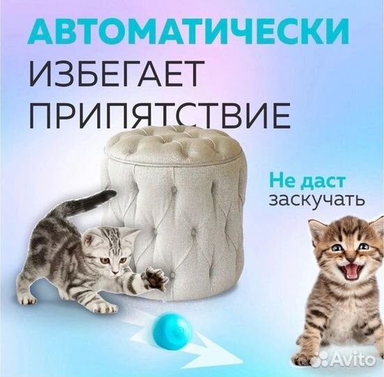 Интерактивный мяч для животных