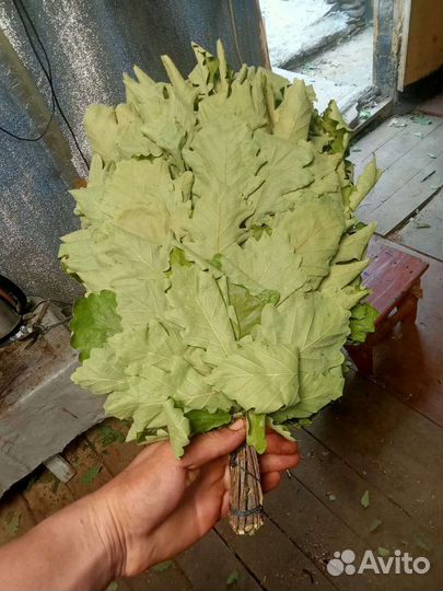 Банный веник,дубовый