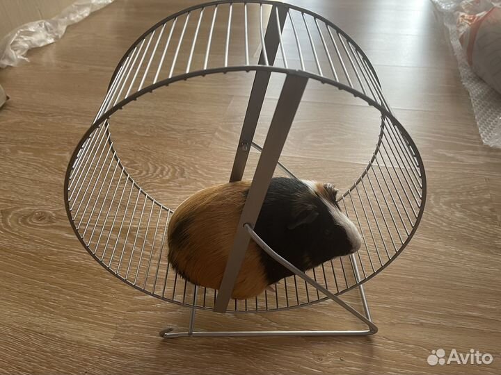 Колесо для грызунов большое