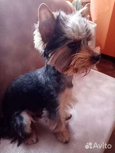 Ищем подружку