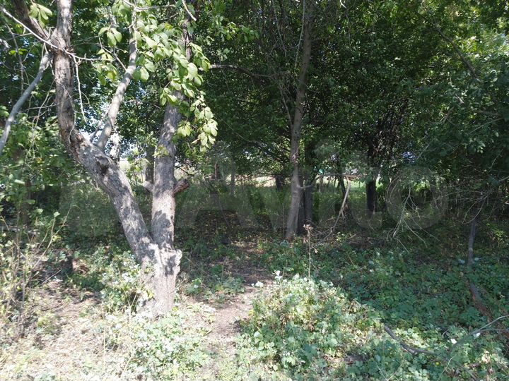 Участок 15 сот. (ИЖС)