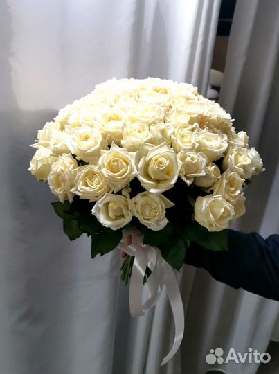 Розы, букет цветов 101 роза