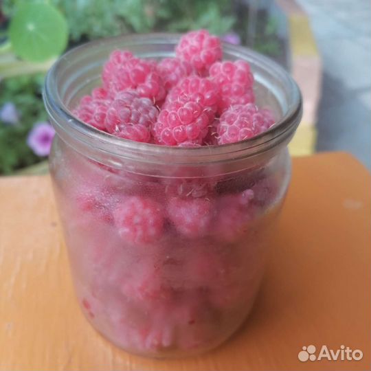 Продам малину