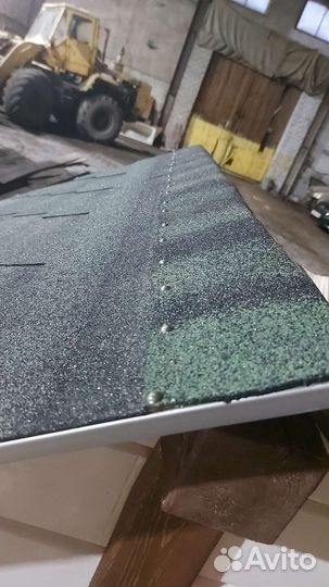 Собачья будка