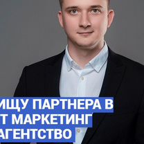 Ищу партнера. Онлайн бизнес на IT услугах