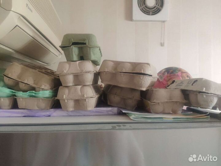 Ячейки для яиц