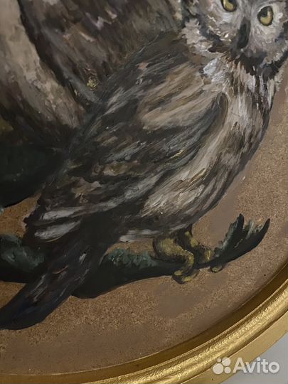 Картина совы как старинная