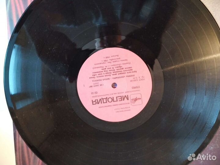 Пластинка зоопарк белая полоса