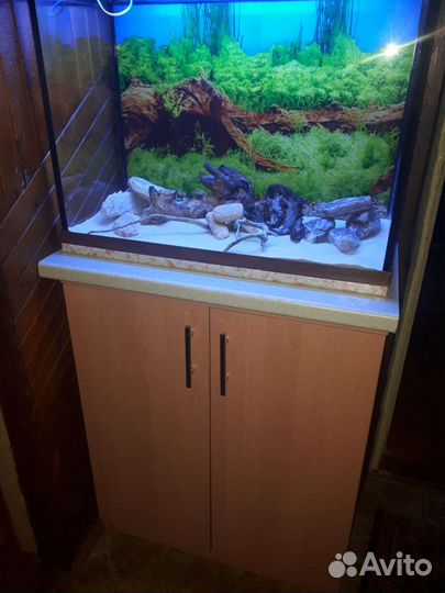Аквариум