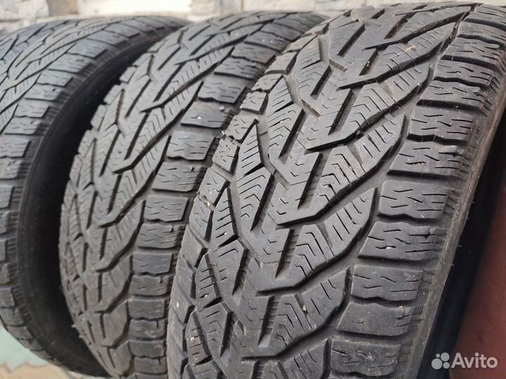 Tigar Winter 195/55 R16