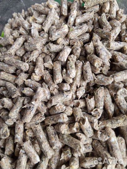 Комбикорм агронит