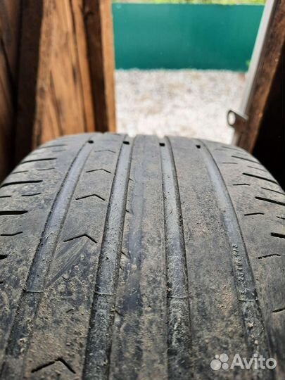 Continental ContiPremiumContact 5 215/60 R16 95H