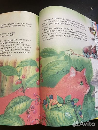 Большая кника сказок Виталий Бианки