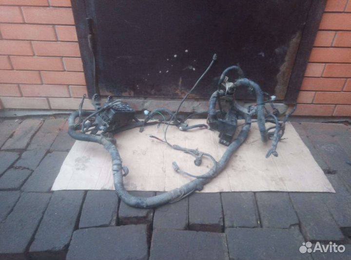 Проводка передняя подкапотная Ниссан primeraр12