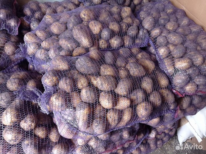 Картофель деревенский, Лук, морковьМука в/с