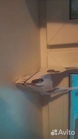 Продаю дракона на рукутолько в Братске