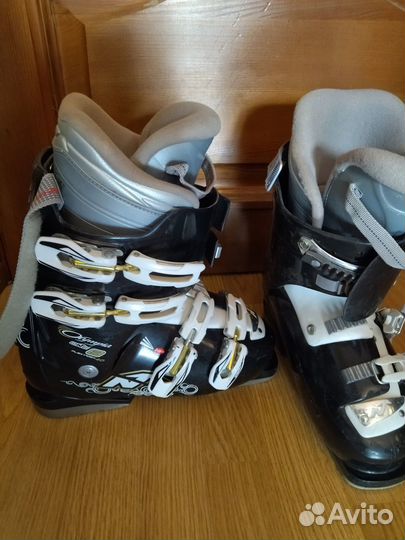 Горные лыжи