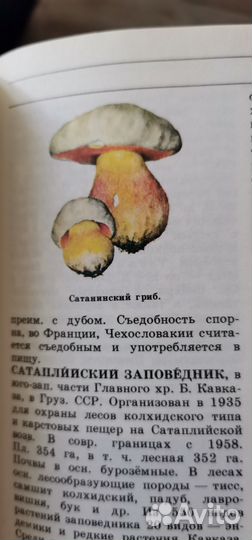 Лесная энциклопедия