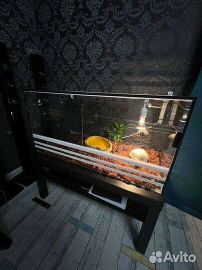 Террариум(паучатник), стойка, стеллаж на заказ