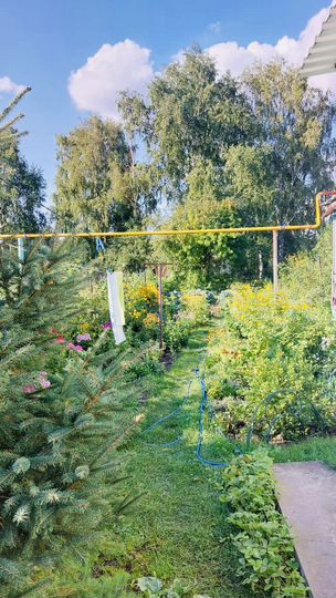 Дом 51,4 м² на участке 5 сот.