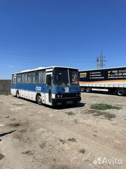 Междугородний / Пригородный автобус Ikarus 256, 2001