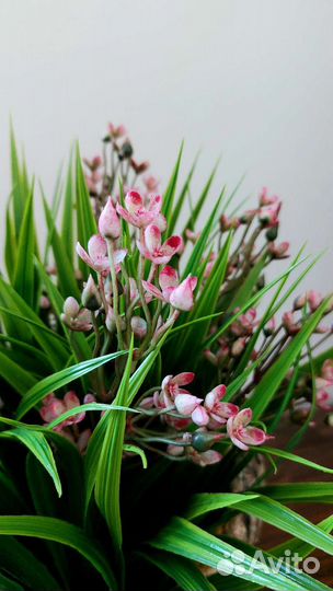 Искусственное растение дерево