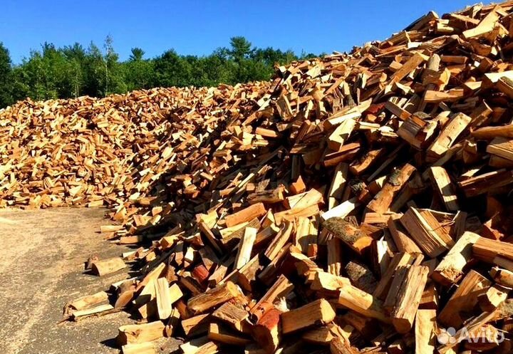 Дрова без жучков