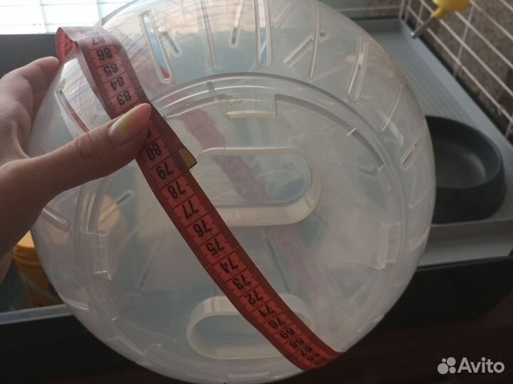 Прогулочный шар для грызунов