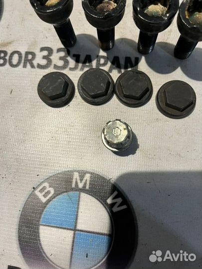 Болт секретный Code 19 Bmw E46 седан М54В30 2004