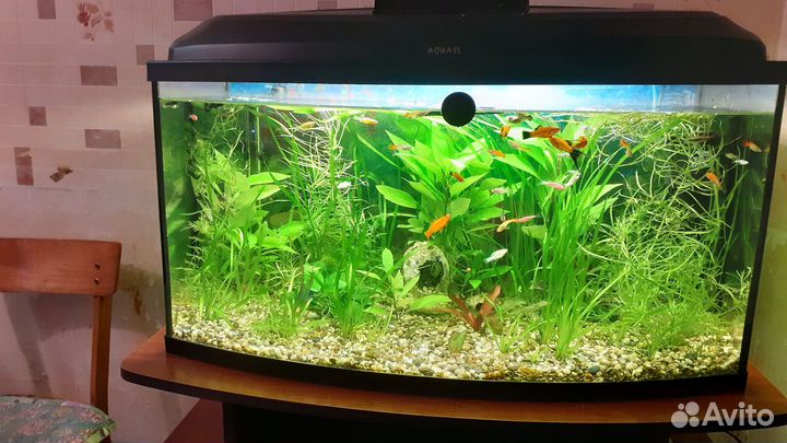 Аквариум