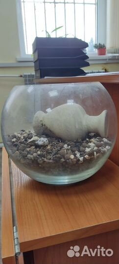 Ваза для флорариума