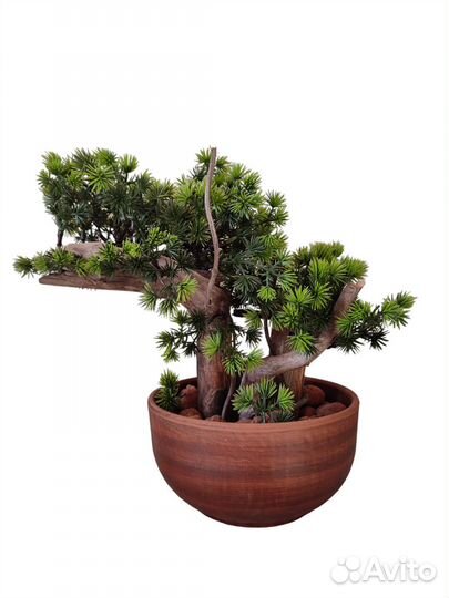 Деревья для интерьера