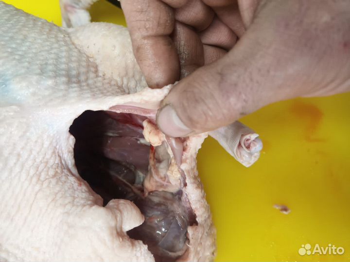 Утки мулард