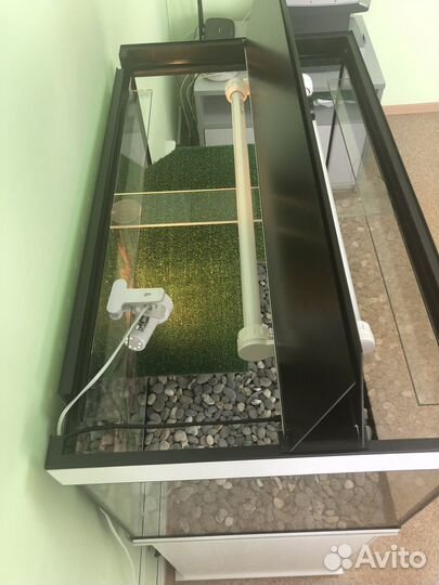 Аквариум для красноухой черепахи