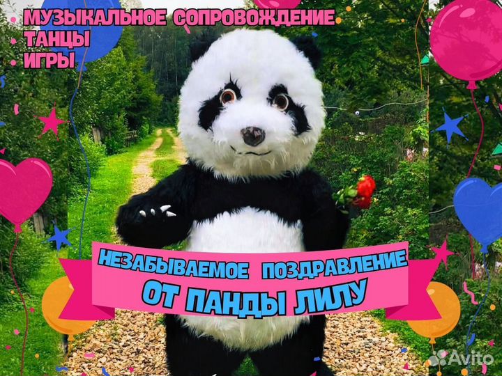 Поздравление от Панды, Мишка на праздник