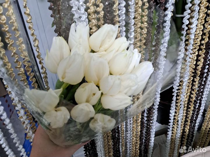 Тюльпаны к 8 марта