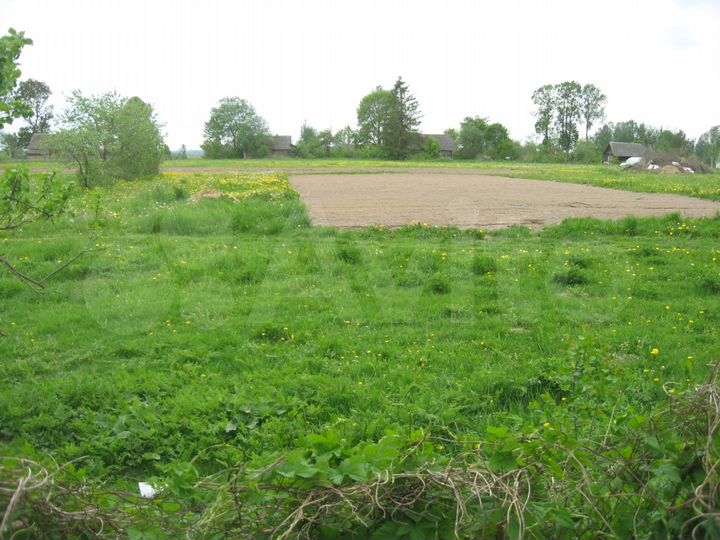 Дом 60 м² на участке 34 сот.