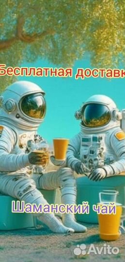 Чай пуэр « Космос шаманов » шмн10073